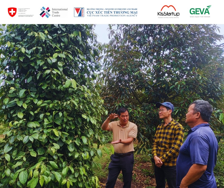 From standards to strategy: building Vietnam’s green export capability
