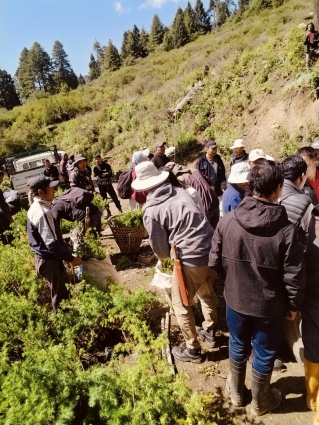 Financing the forest keepers