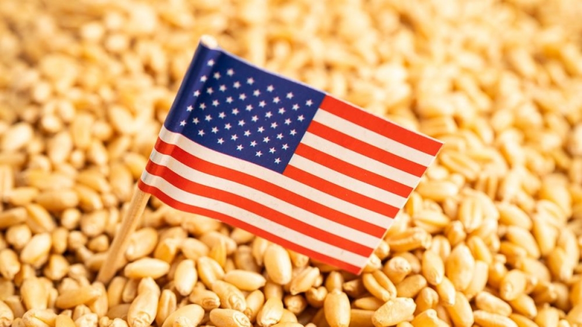 US wheat sees rising demand in Vietnam