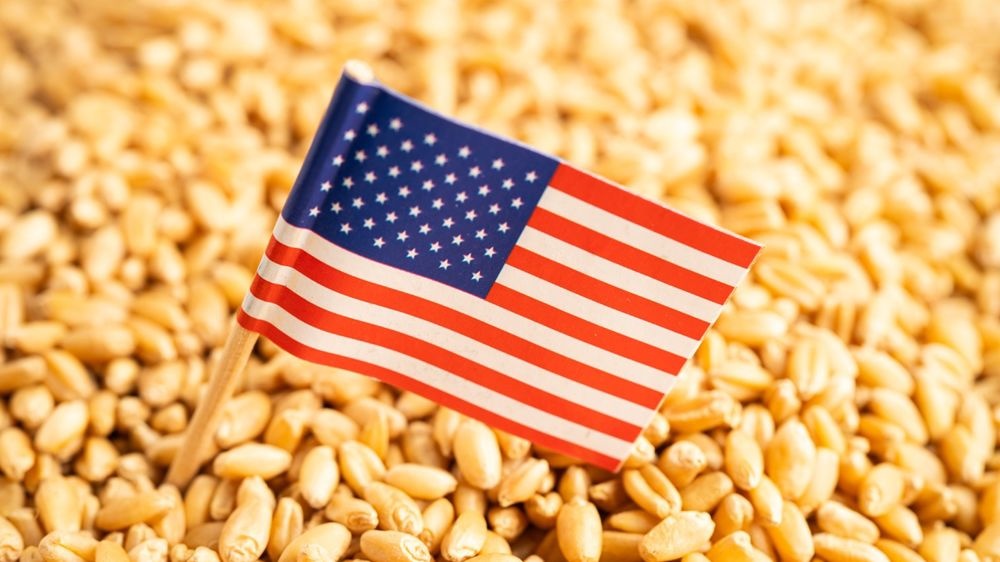 US wheat sees rising demand in Vietnam