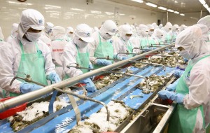 'Green passport' key for Vietnamese food to reach global markets