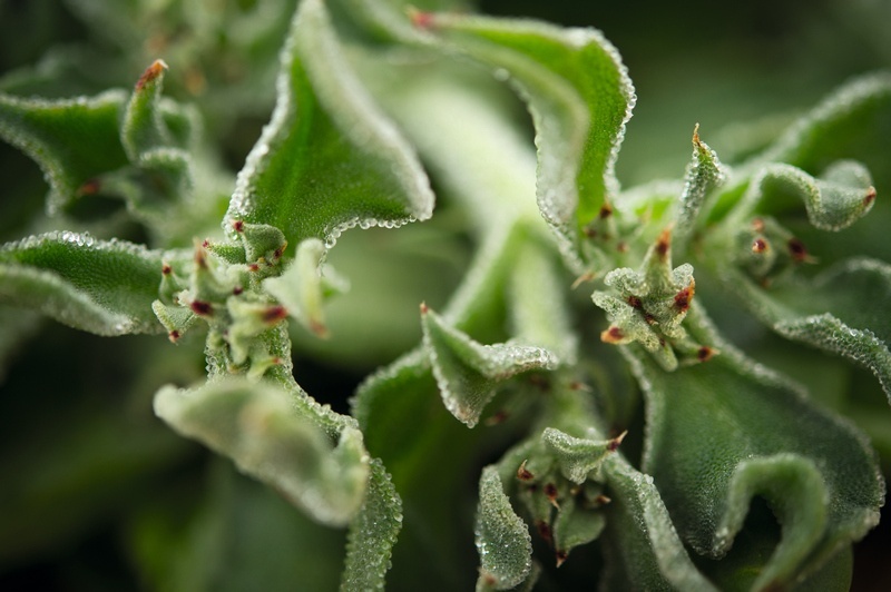 Groupe Rocher partners with Dassault Systèmes to accelerate cosmetic research