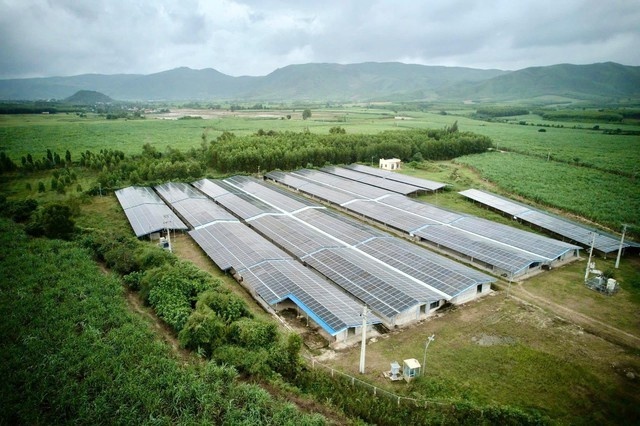 Thanh Nam Group moves into coffee export market