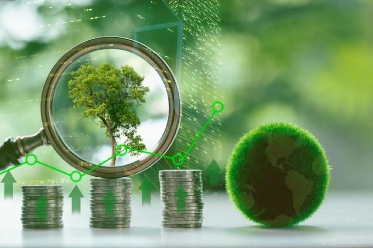 JBIC provides $120 million green financing for energy transition in Vietnam