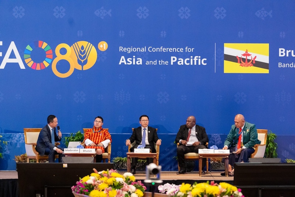 Asia-Pacific ministers meet FAO to boost food security
