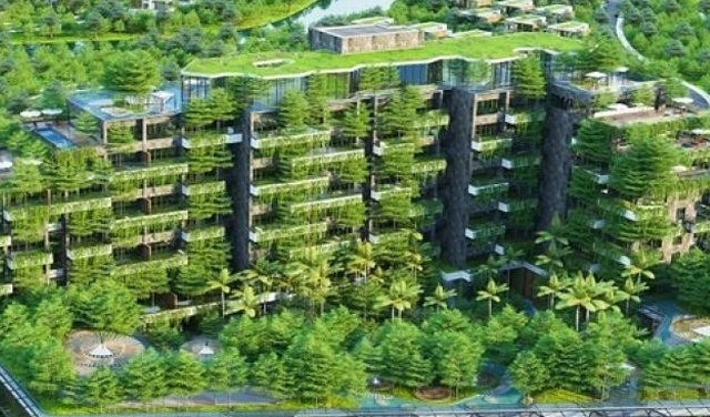 Workshop guides construction firms on carbon rules