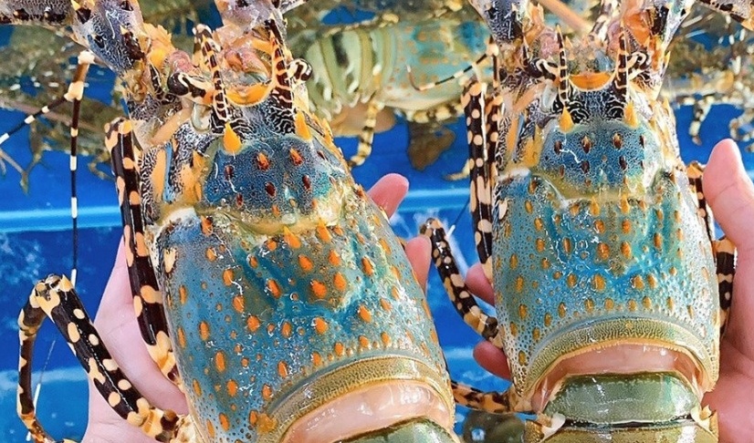 Shrimp exports hit $1.07 billion on strong China demand