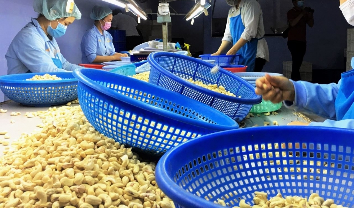 Vietnam's raw cashew imports hit record $943 million in April