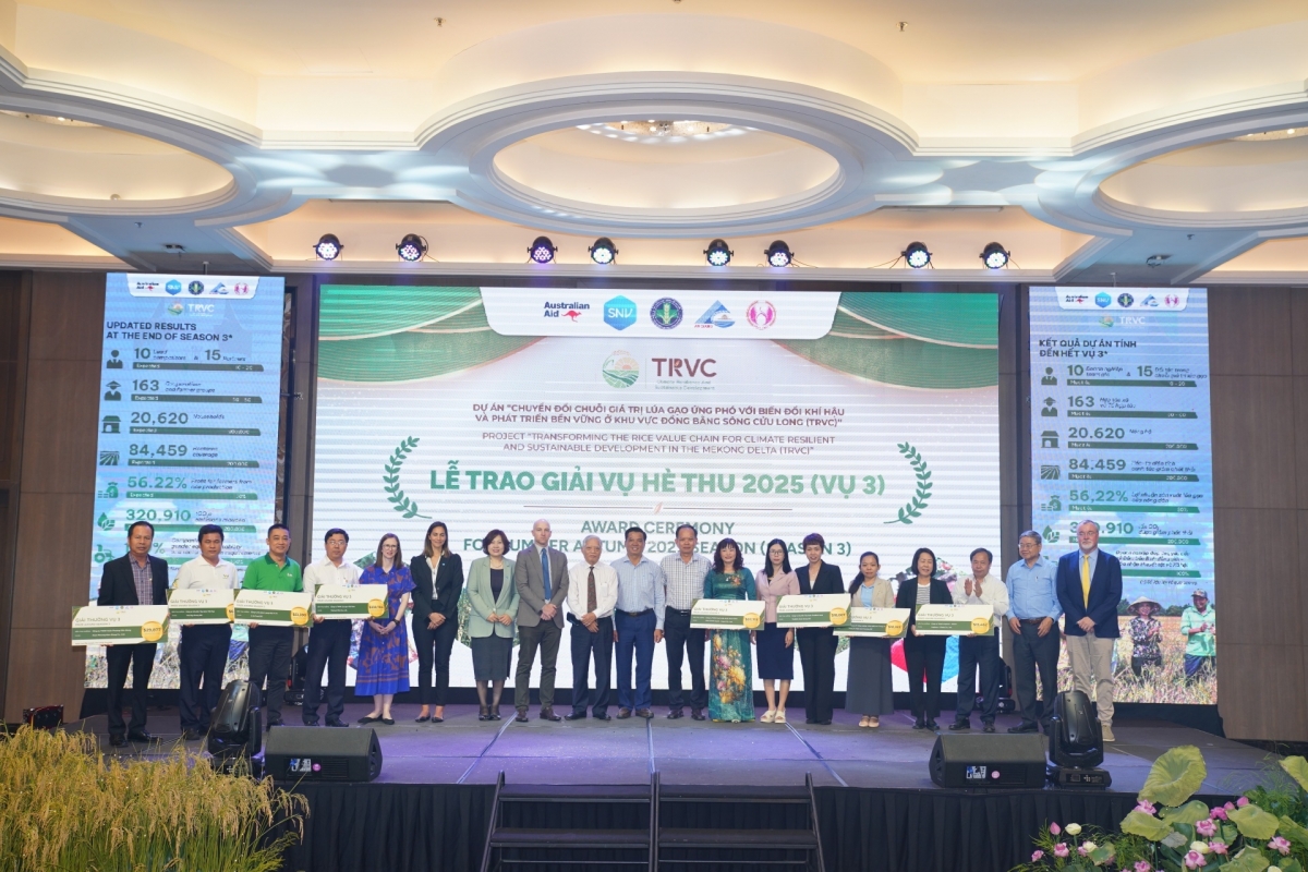 10 companies honoured for efforts to expand sustainable rice farming