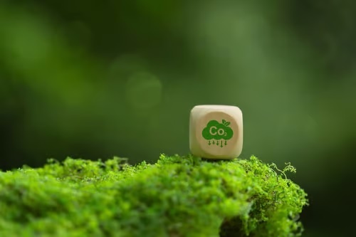 HSBC launches $4 billion clean energy credit facility