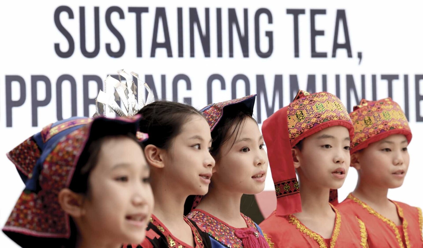 Wuzhishan rainforest tea makes international debut at FAO headquarters in Rome
