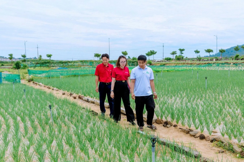 Bank credit sustains livelihoods on Ly Son Island