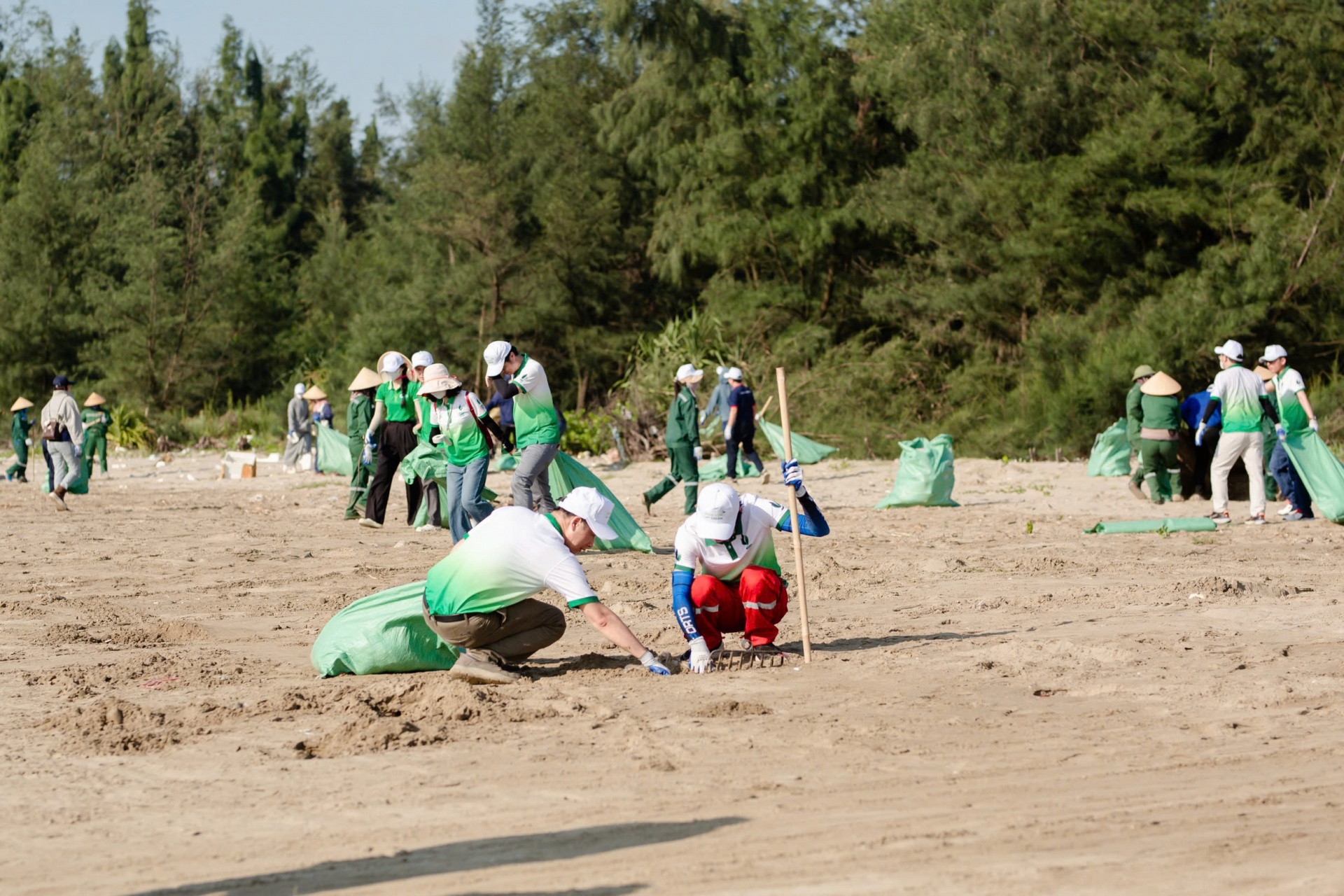 Nghi Son Green scheme expands in Thanh Hoa to protect marine environment