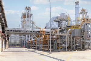 IGEV chief on turning forestry waste into high-value exports