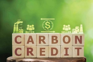 Vietnam lays groundwork for carbon market development