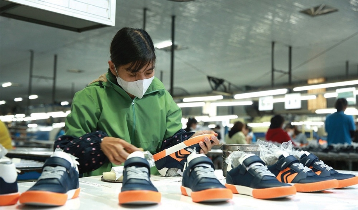 Global shocks and tightening cash for Vietnamese business