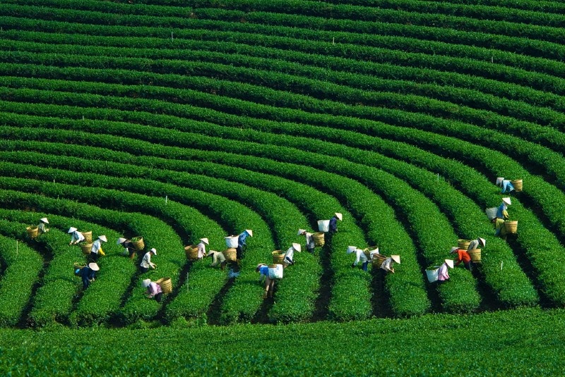 Green Climate Fund to finance $50 million for Mekong Earth Regeneration Fund