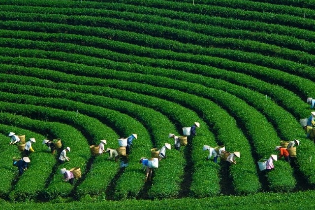 Green Climate Fund to finance $50 million for Mekong Earth Regeneration Fund