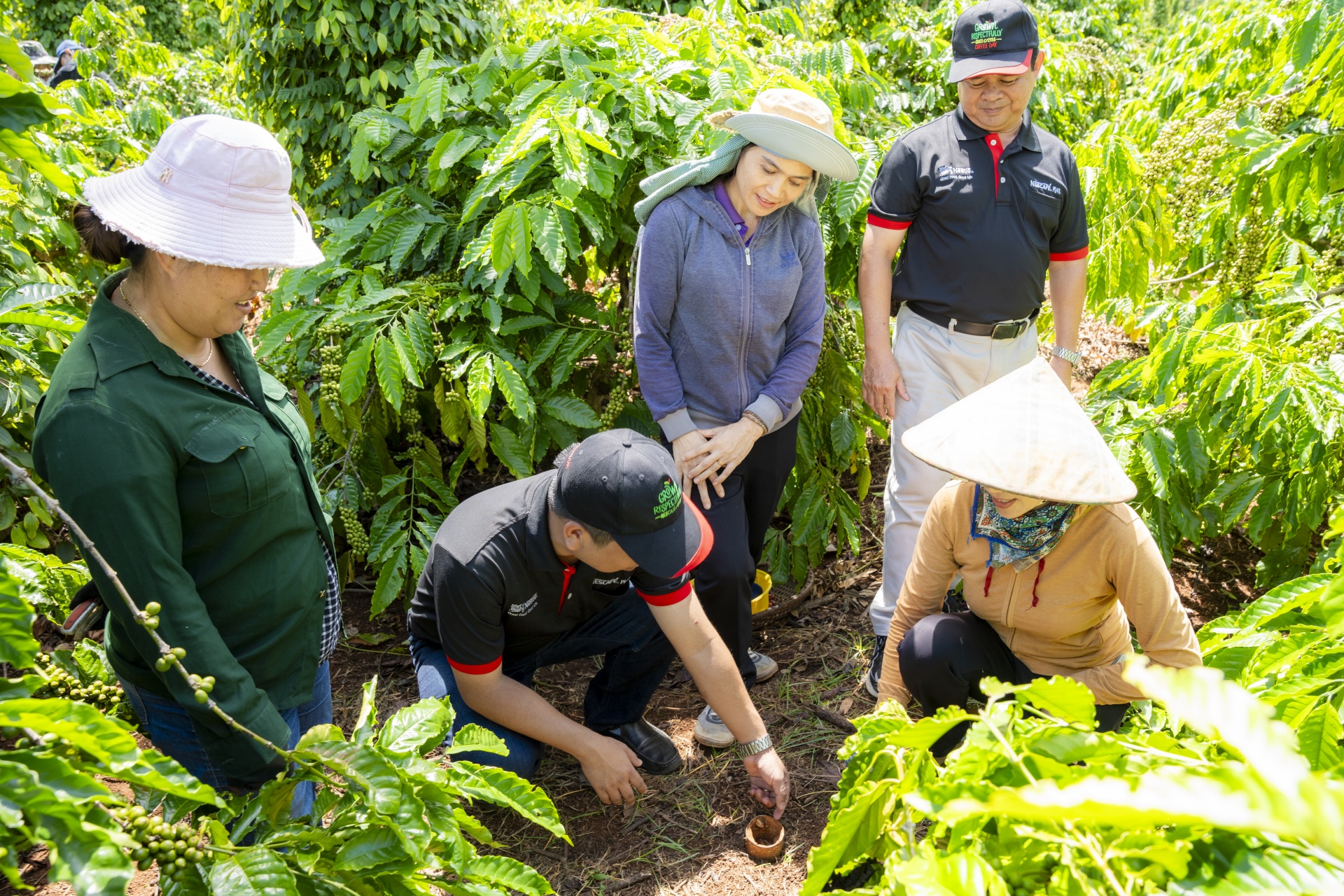 Regenerative agriculture helps Vietnamese coffee tackle green barriers