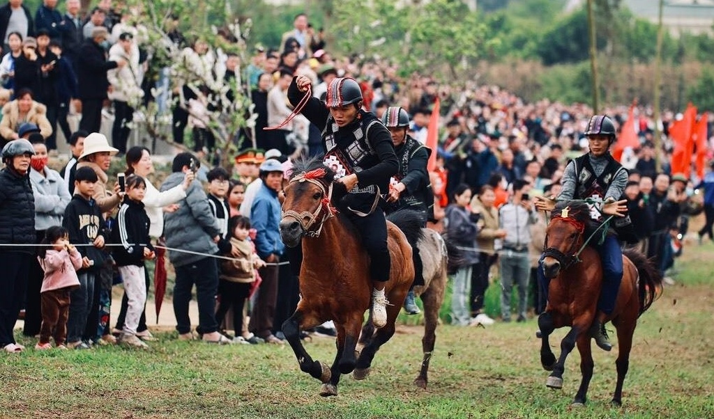 Plan approved for $420 million horse racing complex in Soc Son, Hanoi