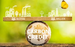 Businesses urged to join carbon market