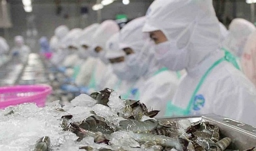 China imports $1.4 billion of Vietnamese seafood in first half of 2026