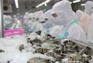 China imports $1.4 billion of Vietnamese seafood in first half of 2026