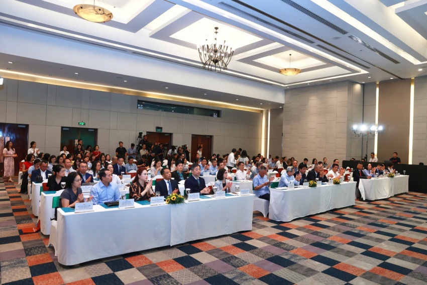 Capital channel reform critical to Vietnam's next growth phase