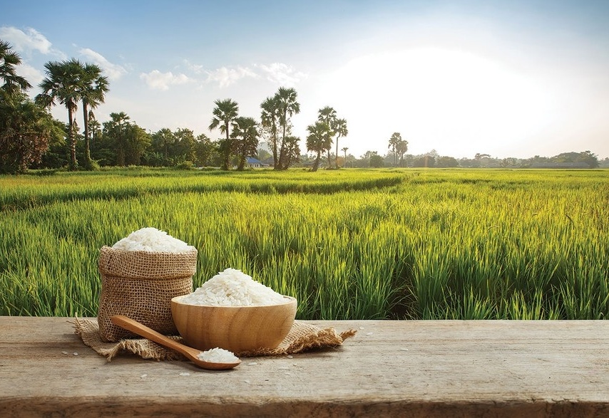 Rice stocks struggle to gain traction despite strong export growth