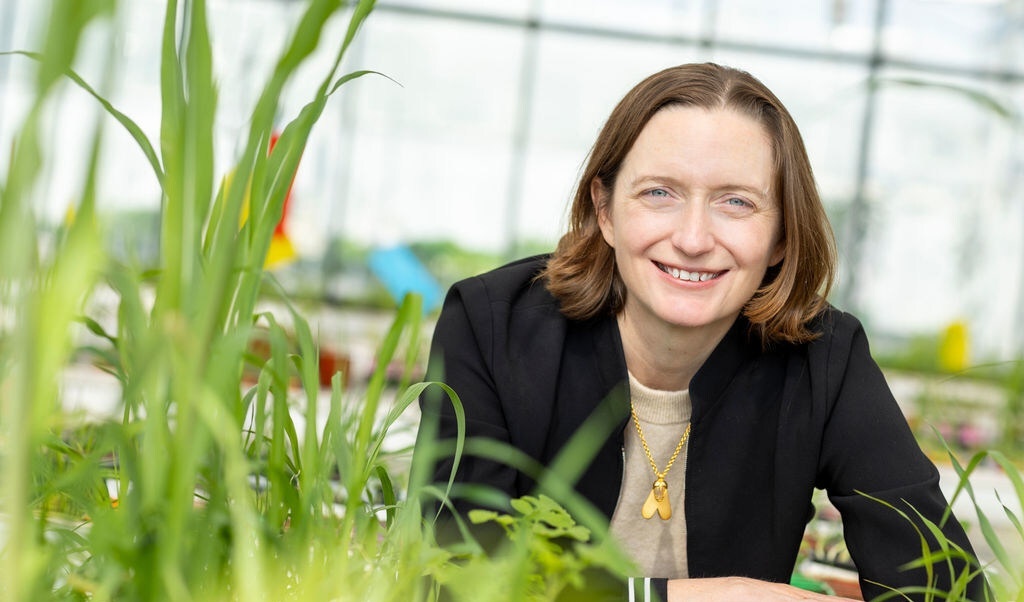 Moa Technology raises £22.2m Series C funding round