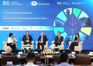 Carbon credit push gathers pace among Vietnamese firms