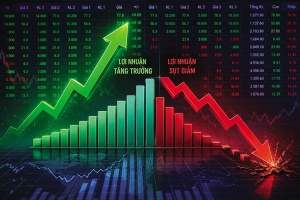 Securities firms post diverging results as margin lending boosts some