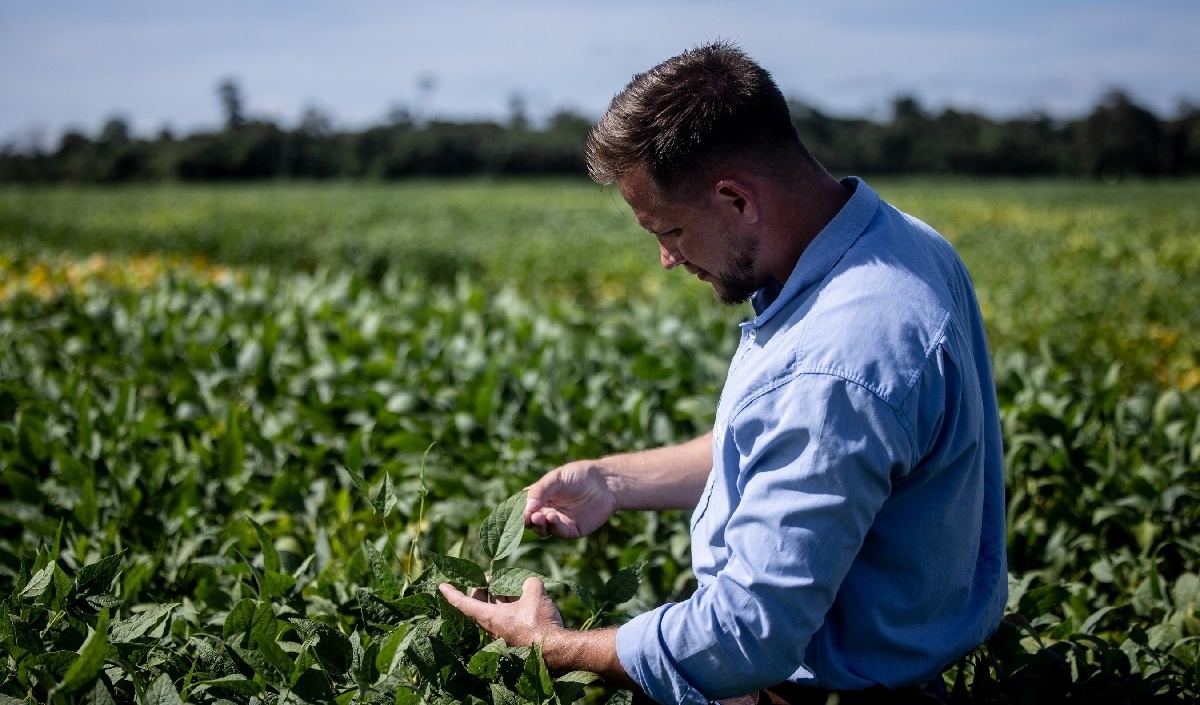 BASF starts global registration of Replexor herbicide