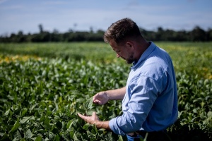BASF starts global registration of Replexor herbicide