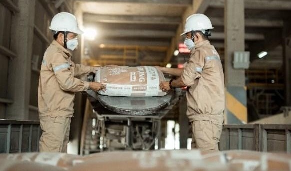 Cement producers sustain growth as construction demand holds firm