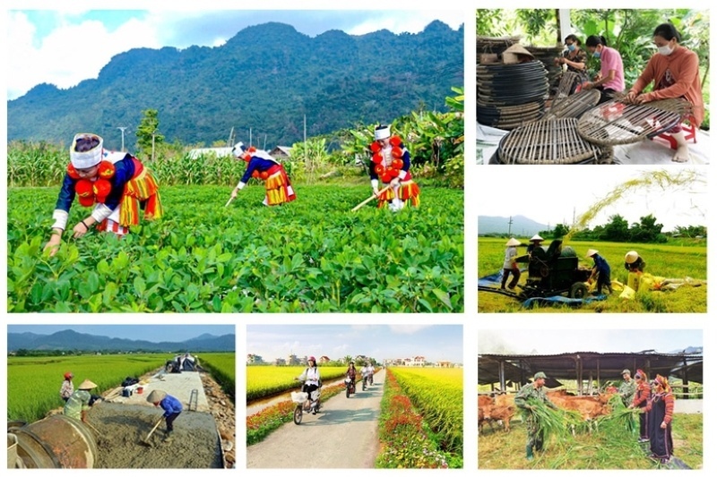 MoF proposes merging four national programmes to streamline resources