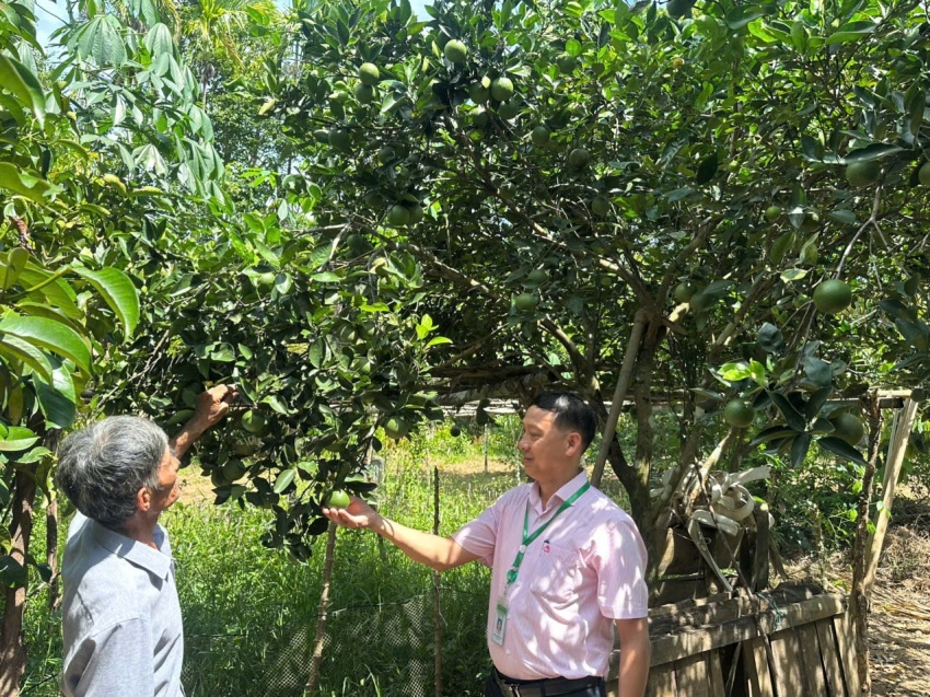 Beyond loans, veterans turn capital into sustainable livelihoods
