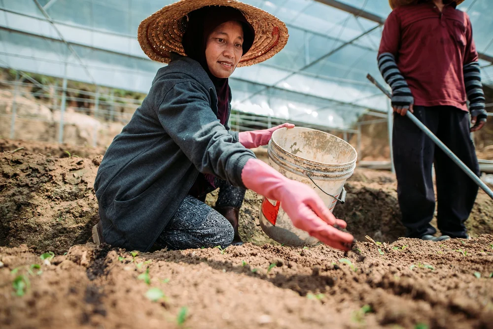 Beanstalk AgTech launches Monsoon Ventures for Southeast Asian agtech push