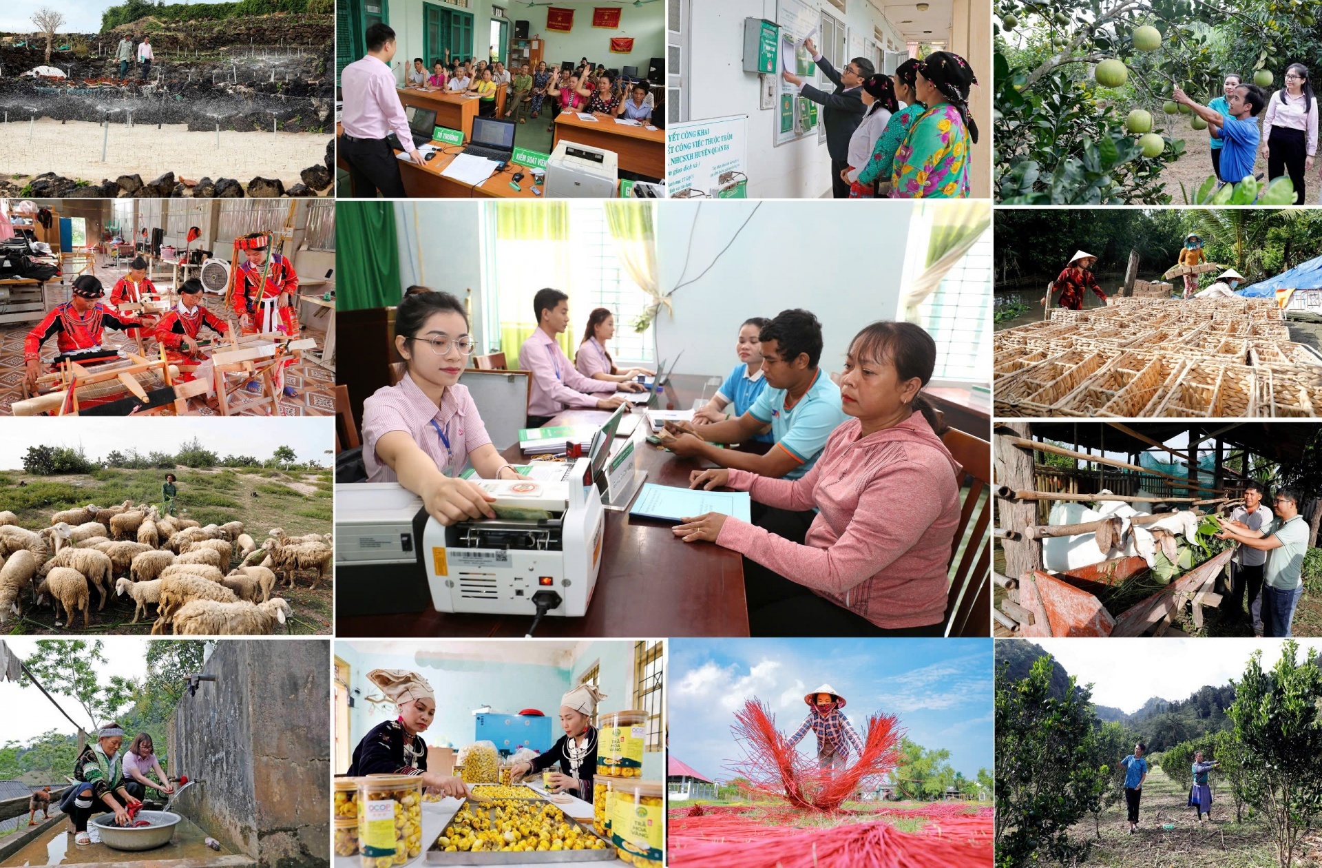 Expanding credit and livelihoods