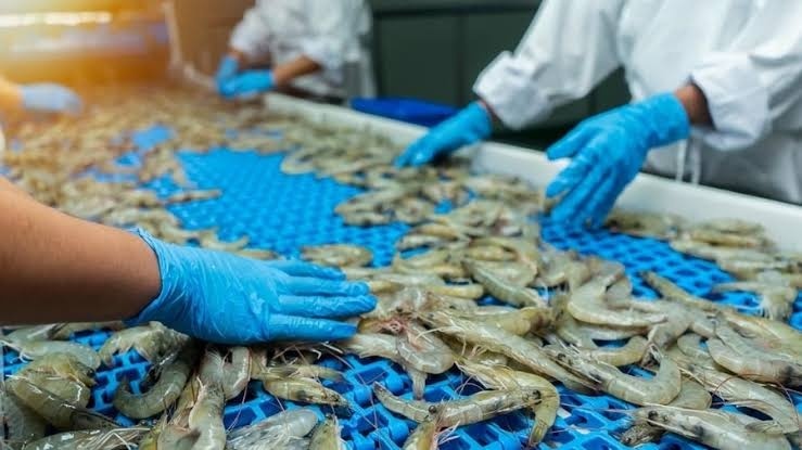 C/O delays threaten seafood and footwear exports