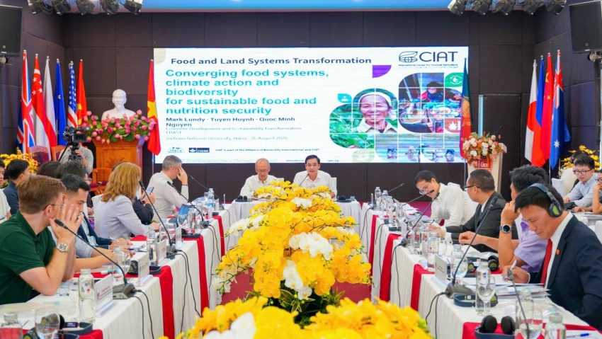 Economic development in era of sustainable transformation
