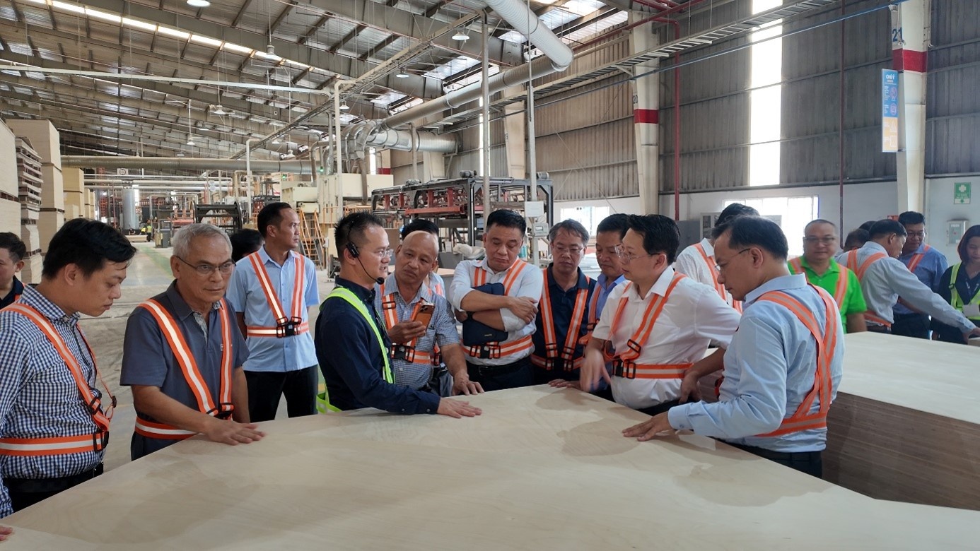 TEKCOM gains priority access to hevea veneer and plywood supply in Cambodia