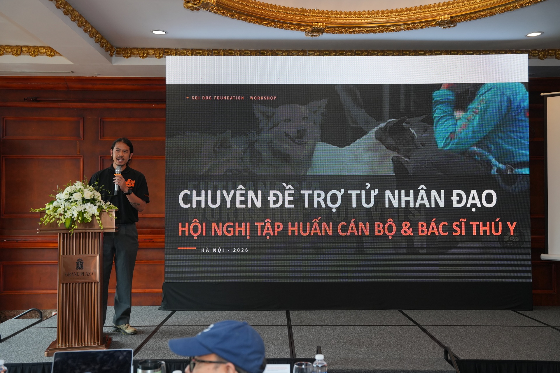 Hanoi scales up training on humane euthanasia standards for dogs and cats
