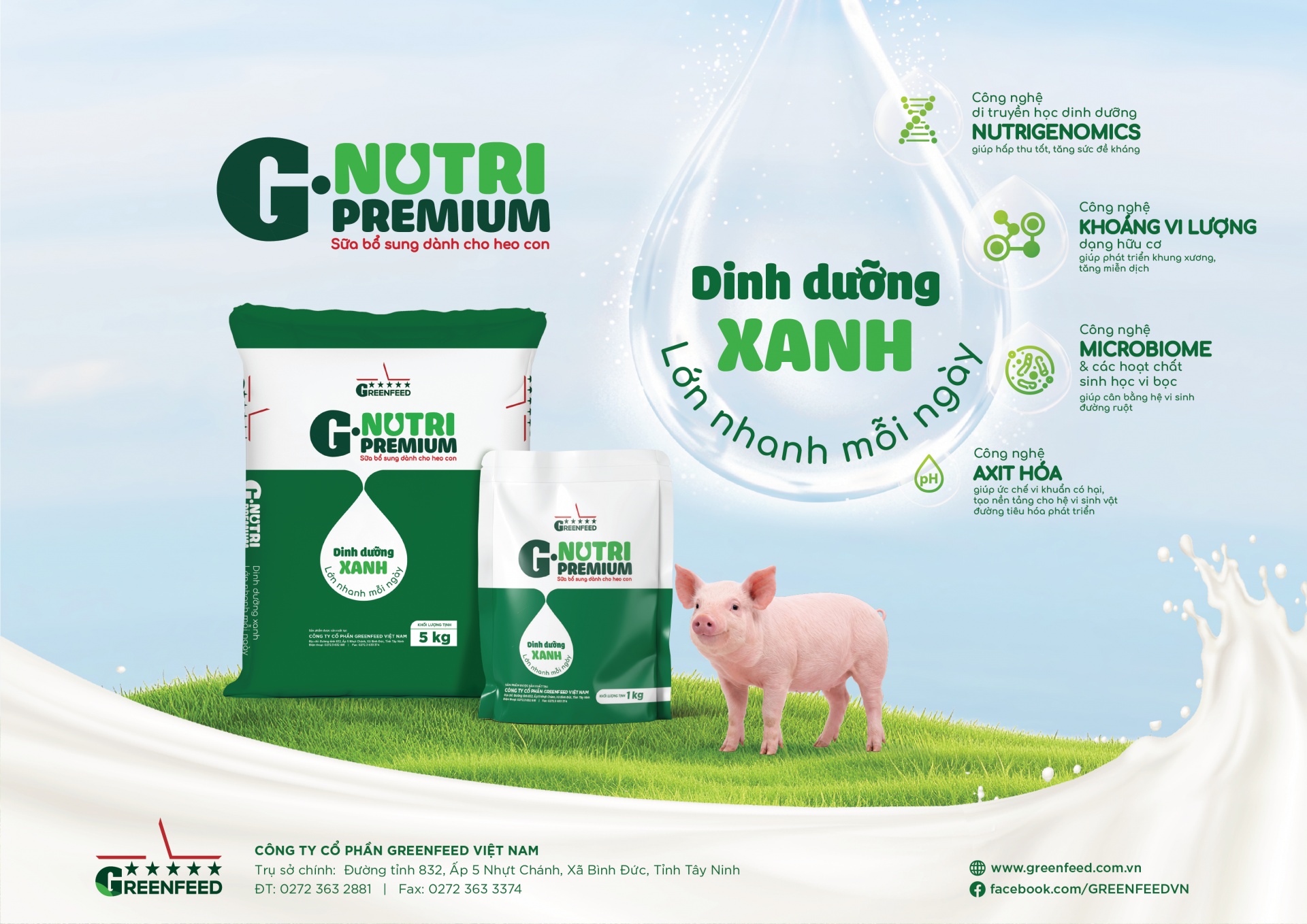 Greenfeed rolls out early-life nutrition solution for piglets