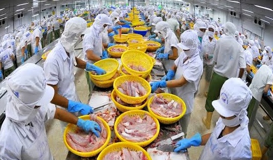 Vietnam earns $56.3 billion from agro-forestry-fishery exports