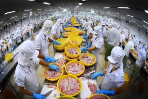 Vietnam earns $56.3 billion from agro-forestry-fishery exports