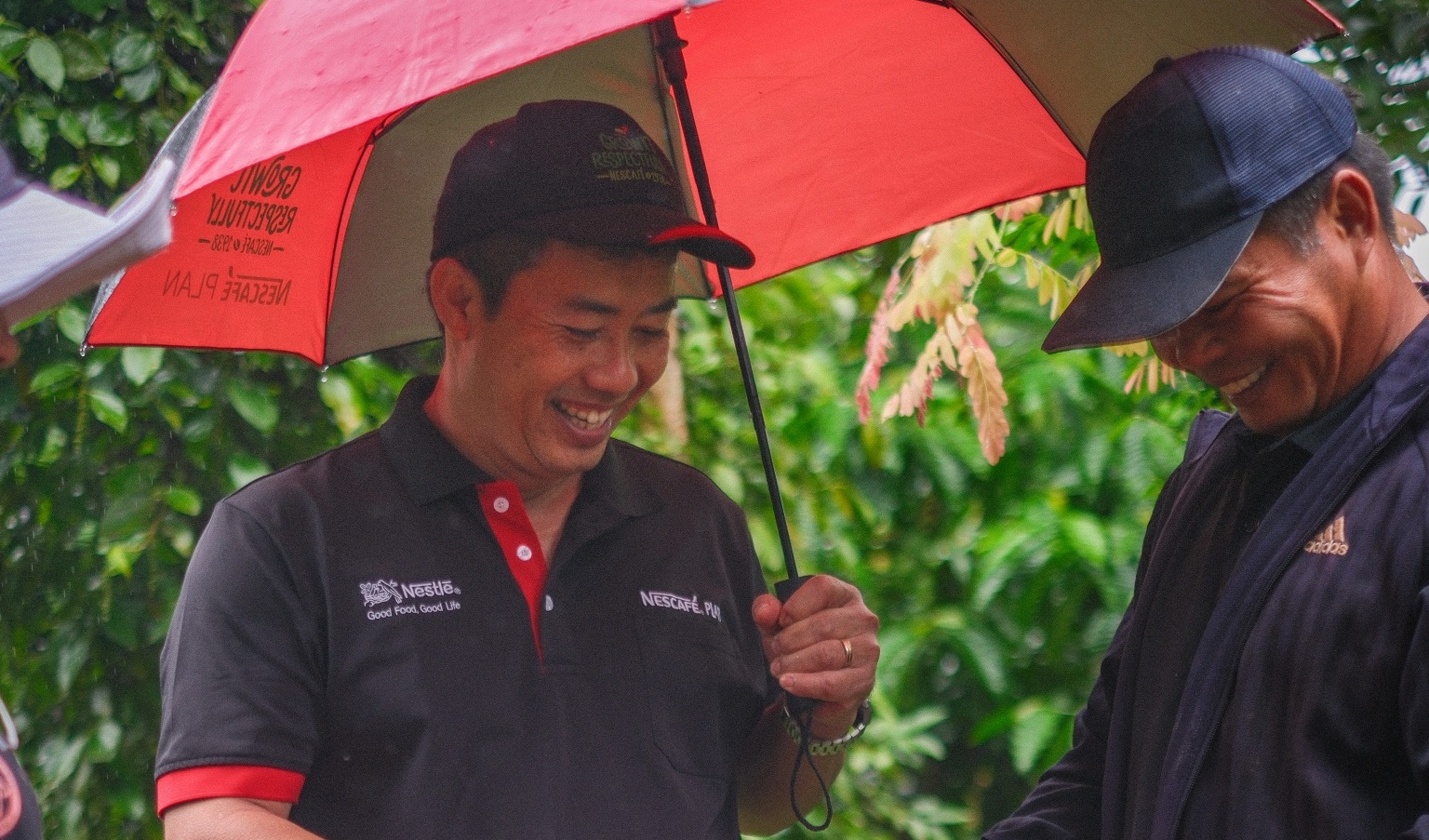 ILO's WIND approach brings safer coffee farming to Vietnam
