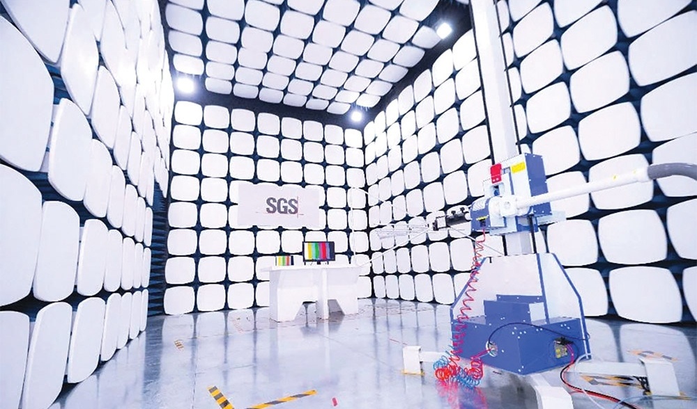 Electronics funding will be won via a capable ecosystem: SGS