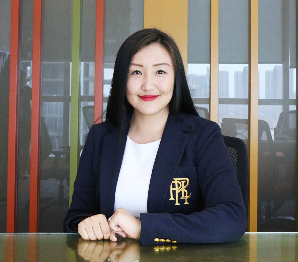 Shaping environment for foreign investment funds