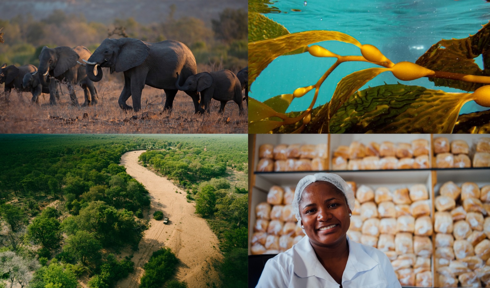 De Beers Group publishes 2025 sustainability performance report